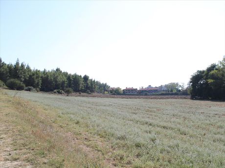 Land plot 13.500sqm for sale-Kassandra » Filakes Karakallou