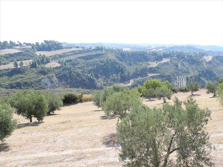 Land plot 10.180sqm for sale-Pallini » Polichrono
