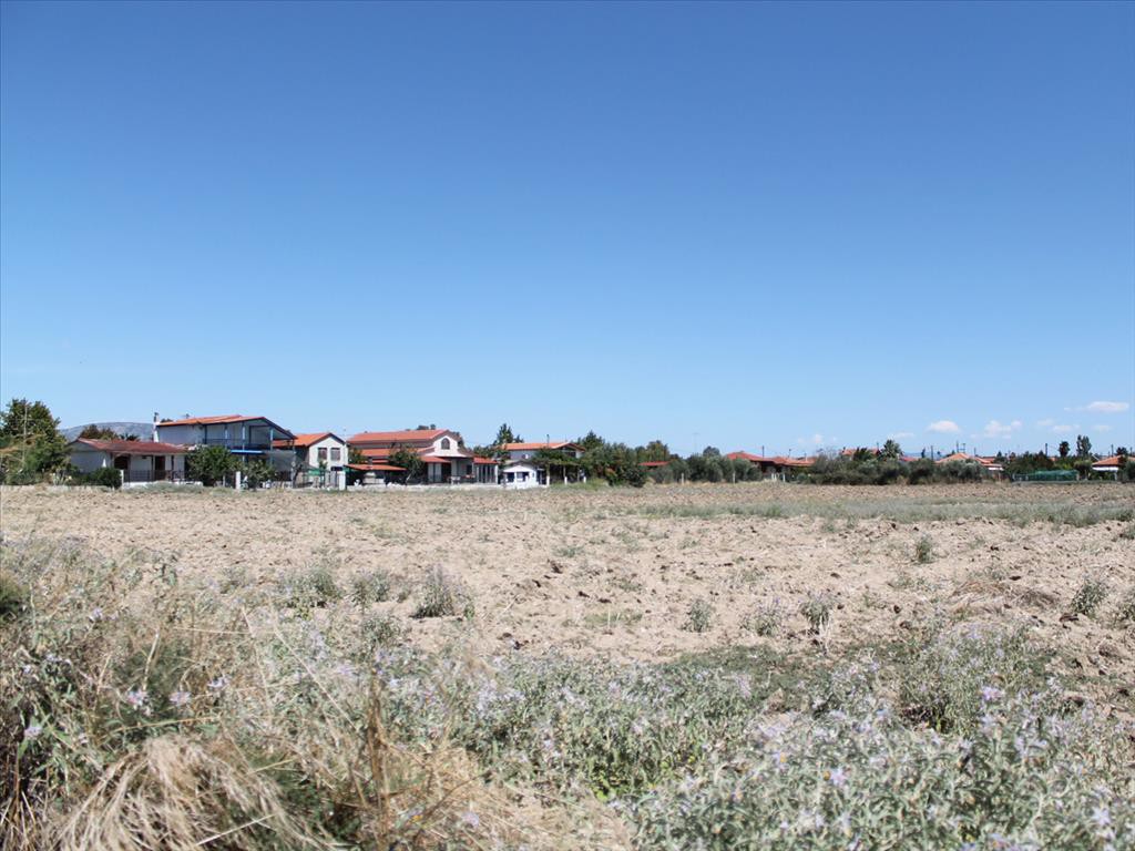 Οικόπεδο 21.200 τ.μ. προς πώληση, Νέα Σίλατα