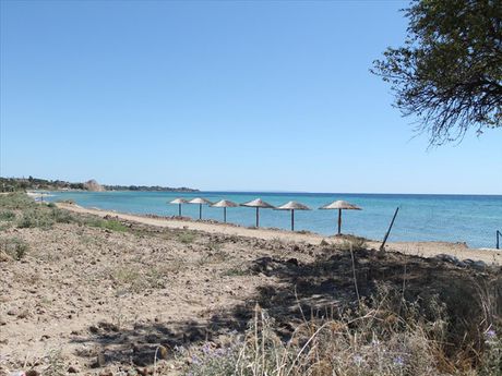 Land plot 0sqm for sale-Kallikrateia » Nea Silata