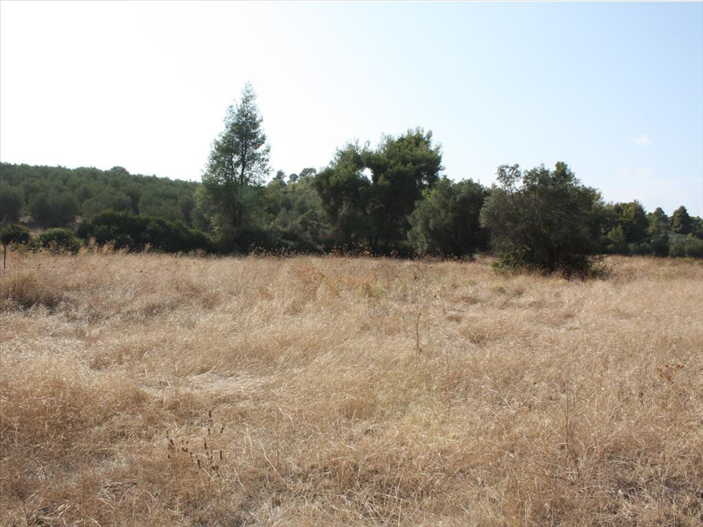 Οικόπεδο 4.960 τ.μ. προς πώληση, Μετόχι Ορμύλιας