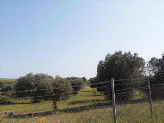 Οικόπεδο 5.360 τ.μ. για πώληση, Χαλκιδική, Ορμύλια-thumb-9