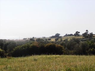 Οικόπεδο 5.360 τ.μ. για πώληση, Χαλκιδική, Ορμύλια-thumb-11