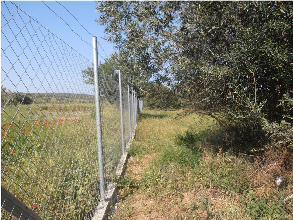 Land plot 5.360 sqm for sale, Metochi, Ormilia