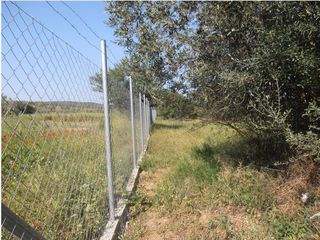 Οικόπεδο 5.360 τ.μ. για πώληση, Χαλκιδική, Ορμύλια-thumb-3