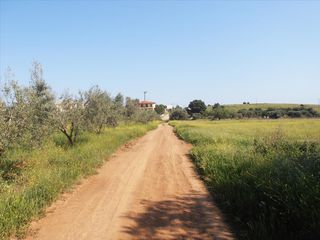 Οικόπεδο 5.360 τ.μ. για πώληση, Χαλκιδική, Ορμύλια-thumb-8