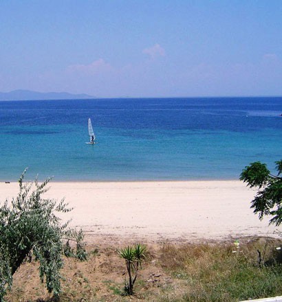 Οικόπεδο 38.500 τ.μ. προς πώληση, Σκάλα Χαλκιδικής