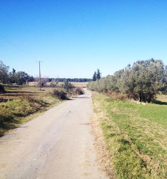 Land plot 30.100sqm for sale-Kassandra » Sani