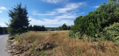 Land plot 8.962sqm for sale-Kassandra » Center