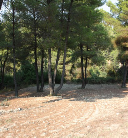 Βίλλα 260 τ.μ. προς πώληση, Σίβηρη
