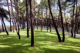 Βίλλα 330 τ.μ. προς πώληση, Σταυρός Κασσάνδρας-thumb-47