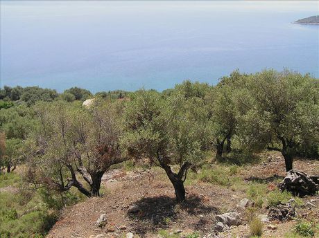 Land plot 4.010sqm for sale-Kalamos » Kastro