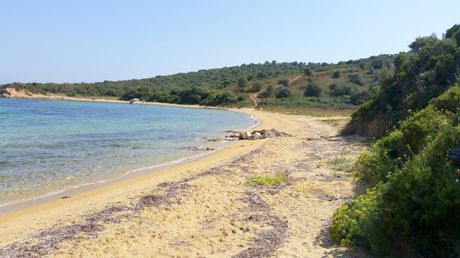 Land plot 12.000sqm for sale-Stagiron - Akanthou » Amoliani