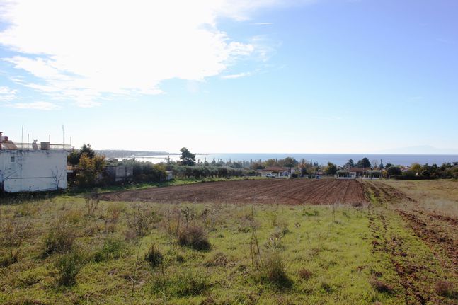 Land plot 4.000 sqm for sale, Thessaloniki - Suburbs, Michaniona