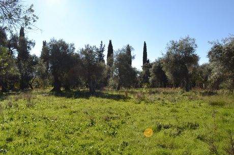 Land plot 8.010sqm for sale-Corfu » Thinalio