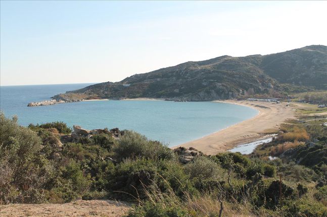 Land plot 500 sqm for sale, Chalkidiki, Toroni