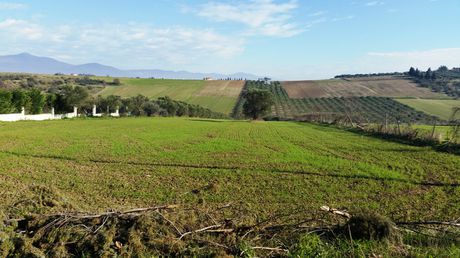 Land plot 8.194sqm for sale-Thermaikos » Livadakio
