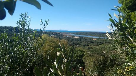 Land plot 3.447sqm for sale-Corfu » Thinalio