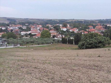 Land plot 2.225sqm for sale-Korinos » Nea Trapezounta