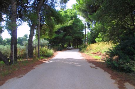 Land plot 2.000sqm for sale-Ormilia » Metochi