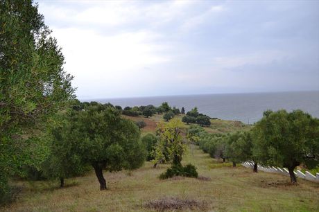Οικόπεδο 8.404τ.μ. για πώληση-Παλλήνη » Παλιούρι