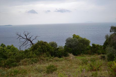 Οικόπεδο 4.200τ.μ. για πώληση-Παλλήνη » Παλιούρι