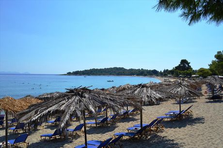 Land plot 15.500sqm for sale-Kassandra » Pefkochori