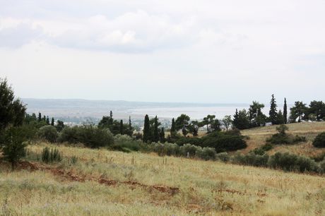 Land plot 4.200sqm for sale-Panorama » Palios Oikismos Panoramatos