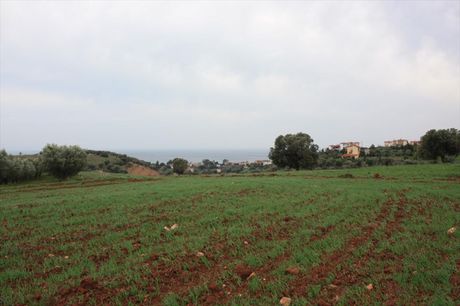 Land plot 3.900sqm for sale-Sithonia » Ormos Panagias