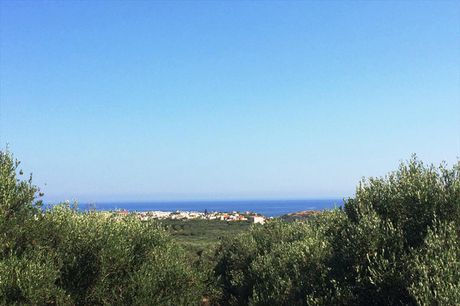 Land plot 2.500sqm for sale-Vrachasi » Epano Sisi