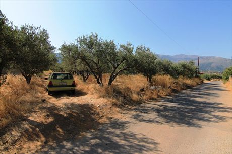 Land plot 1.500sqm for sale-Vrachasi » Sisi
