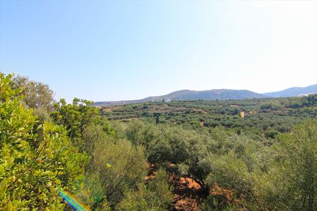 Land plot 4.000sqm for sale-Vrachasi » Sisi
