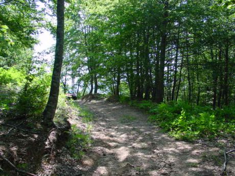 Land plot 4.000sqm for sale-Pieria » Elatochori