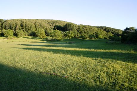 Land plot 32.000sqm for sale-Poligiros » Taxiarchis