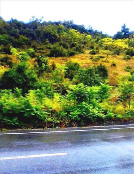 Land plot 2.920sqm for sale-Veroia » Kidonochori