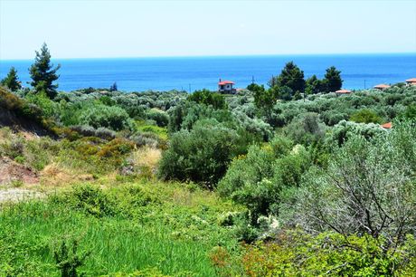 Land plot 8.000sqm for sale-Pallini » Chaniotis