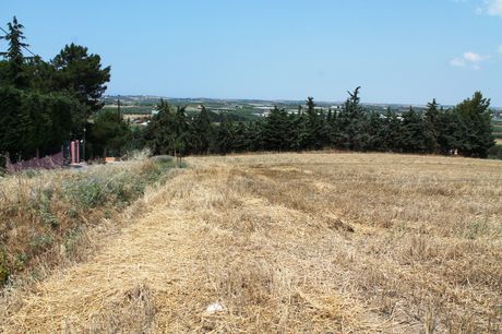 Land plot 7.000sqm for sale-Kallikrateia » Center