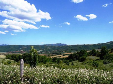 Land plot 23.750sqm for sale-Kallindoia » Adam