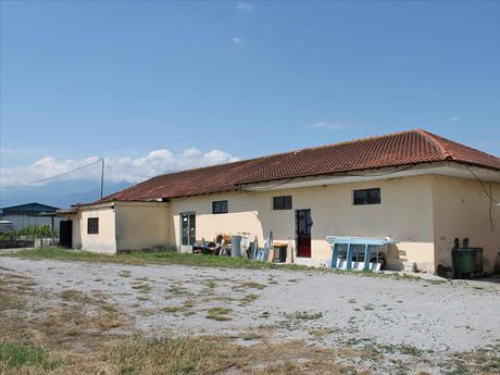 Other 250sqm for sale-Paralia » Peristasi