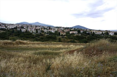 Land plot 6.660sqm for sale-Panorama » Oikismos Topografon