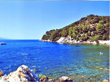 Land plot 30.000sqm for sale-Skiathos » Moni Evaggelistrias