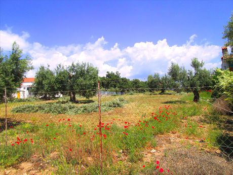 Land plot 4.578sqm for sale-Poligiros » Gerakini