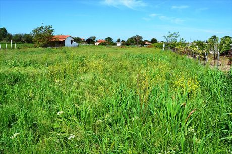 Land plot 1.200sqm for sale-Kassandra » Kalandra