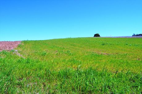 Land plot 4.125sqm for sale-Kassandra » Filakes Kassandras