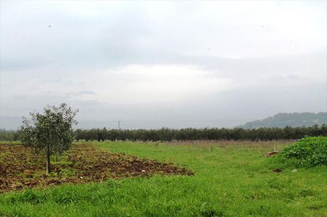Land plot 4.890sqm for sale-Poligiros » Gerakini
