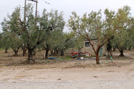 Land plot 5.500sqm for sale-Poligiros » Gerakini
