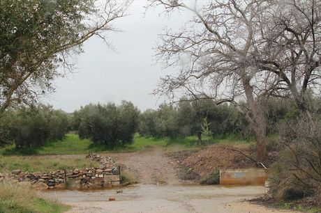 Land plot 1.100sqm for sale-Poligiros » Gerakini