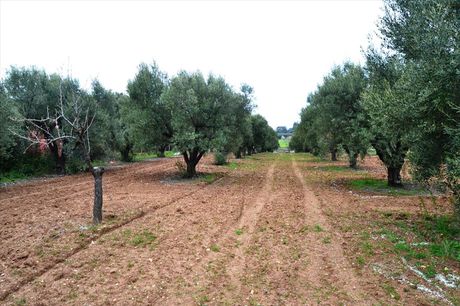 Land plot 3.068sqm for sale-Moudania » Varkes