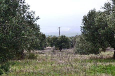Land plot 34.000sqm for sale-Poligiros » Center
