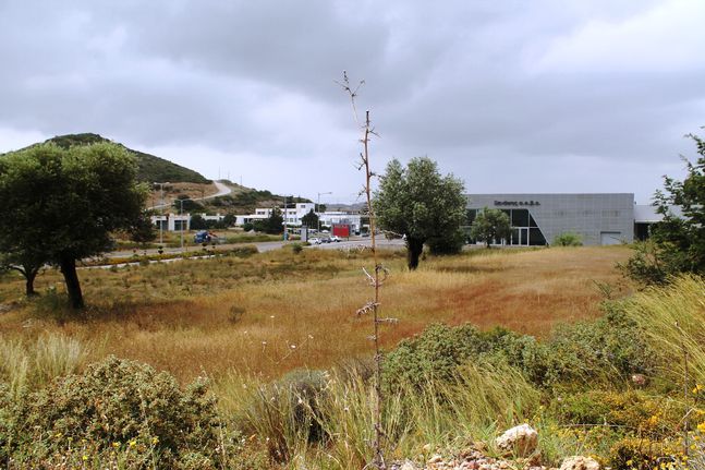 Οικόπεδο 7.400 τ.μ. για πώληση, Δωδεκάνησα, Ρόδος